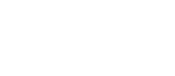 Logo Insura